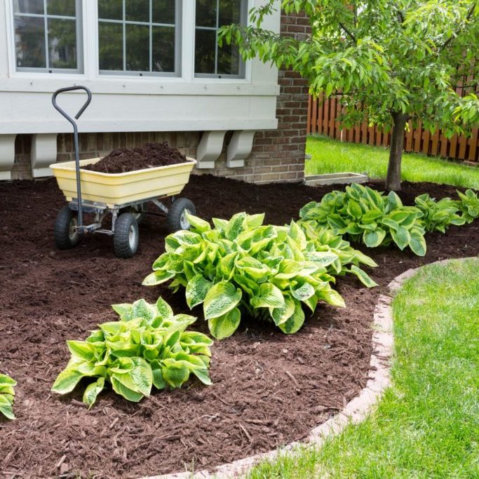 Mulching Landscaping Companies, Starting A Landscaping Business In Pa